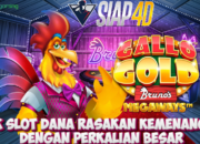 Link Slot Dana Rasakan Kemenangan Dengan Perkalian Besar Bermain Gallo Gold